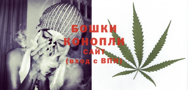 мет Анива